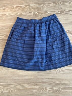 J. Crew Navy Skirt with Light Blue Pinstripes